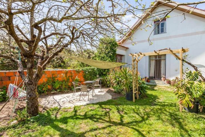 Villa Monte Frio Alpacas Nariz Exterior foto